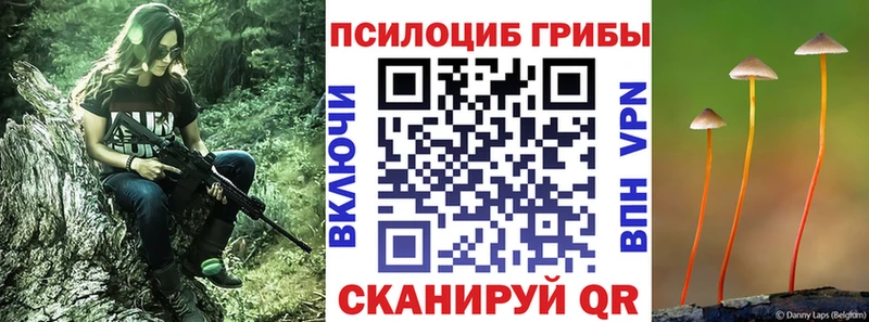 кракен сайт  Югорск  Галлюциногенные грибы GOLDEN TEACHER  купить наркотики цена 
