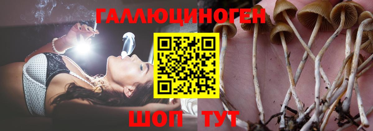 Галлюциногенные грибы GOLDEN TEACHER Югорск